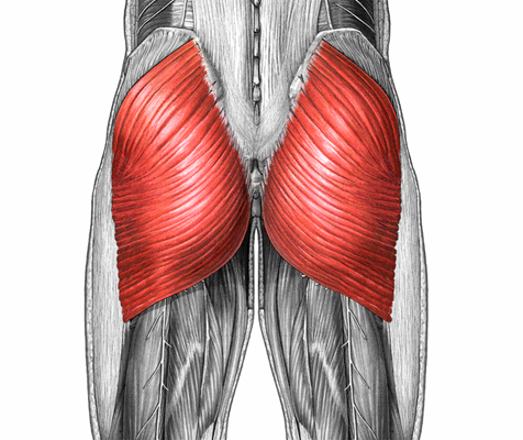 Activation and strengthening of the glutes for cycling